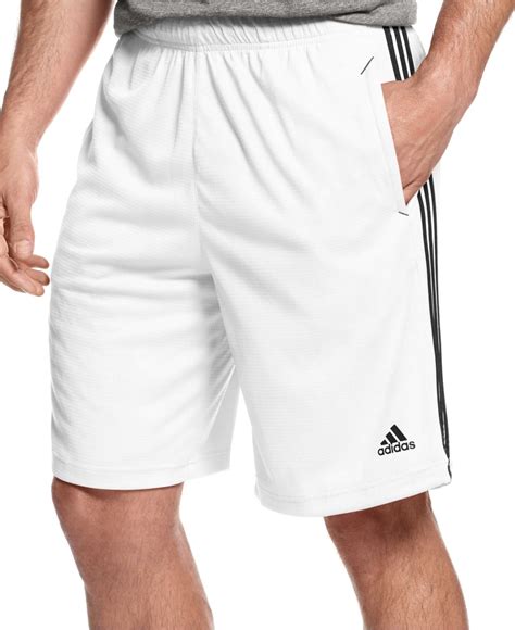 white Adidas shorts men's